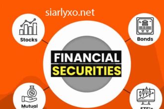 What Are Securities in Finance