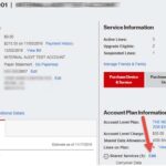 Verizon Business Login