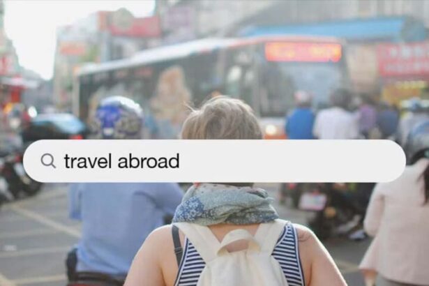 Defensive Foreign Travel Briefing
