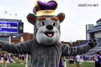 jmu meet the dukes day