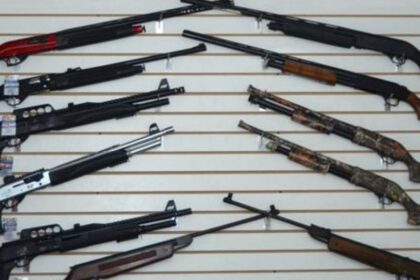 venta de armas santo domingo
