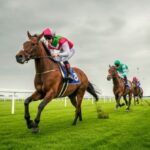 Weather and Turf Conditions That Affect Race Outcomes