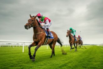 Weather and Turf Conditions That Affect Race Outcomes