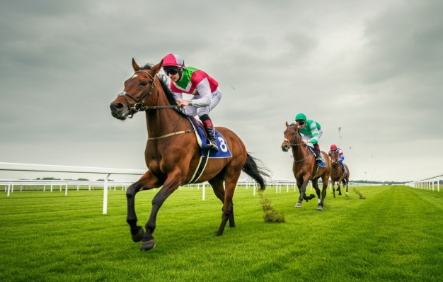 Weather and Turf Conditions That Affect Race Outcomes